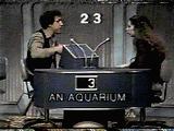 Sal Viscuso trying to describe 'Aquarium' to his partner